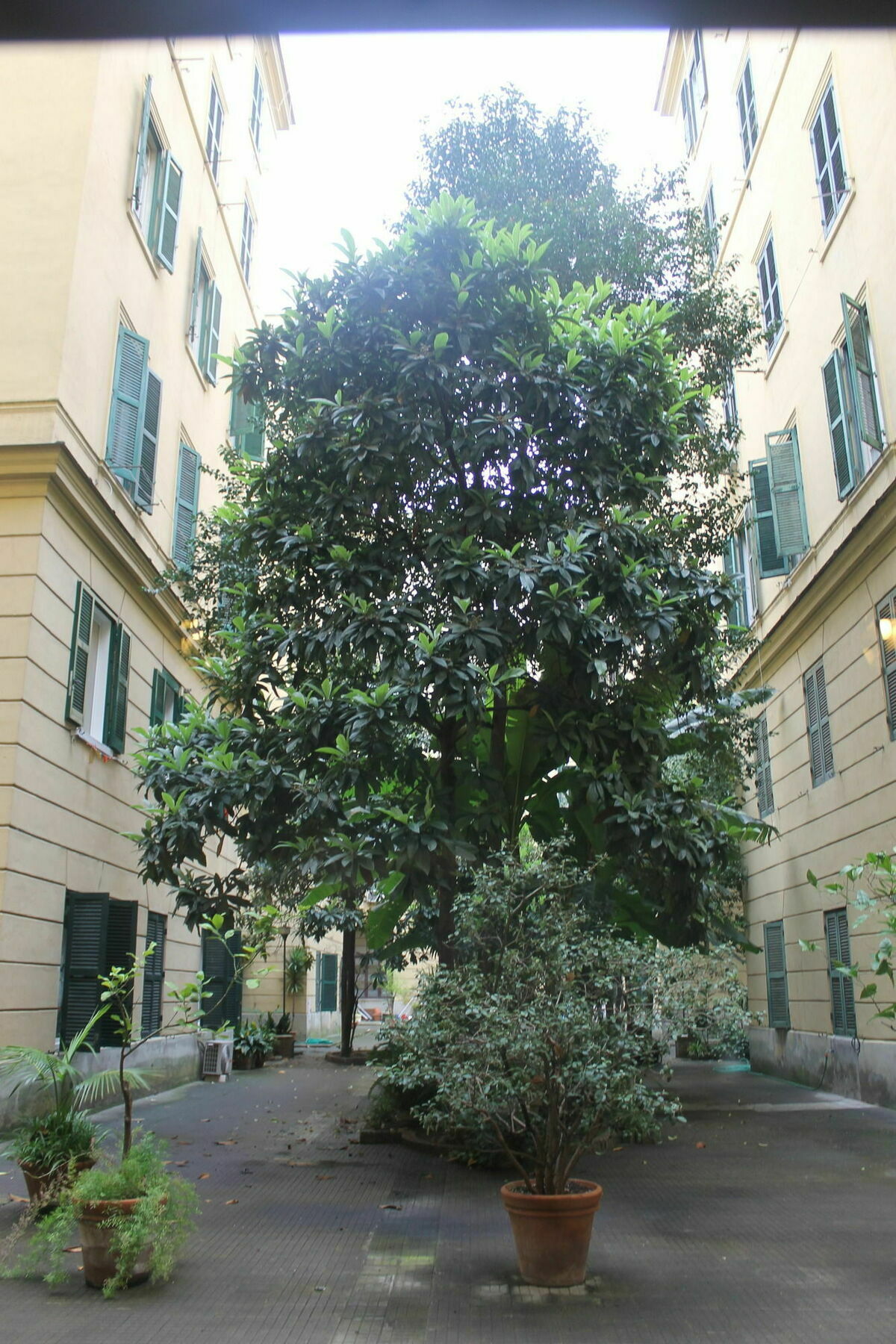 Rovati Guesthouse 罗马 外观 照片